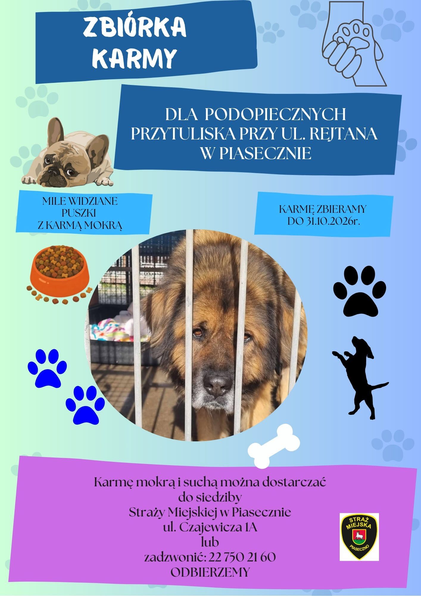 Zbiórka karmy dla psów z przytuliska przy ul. Rejtana